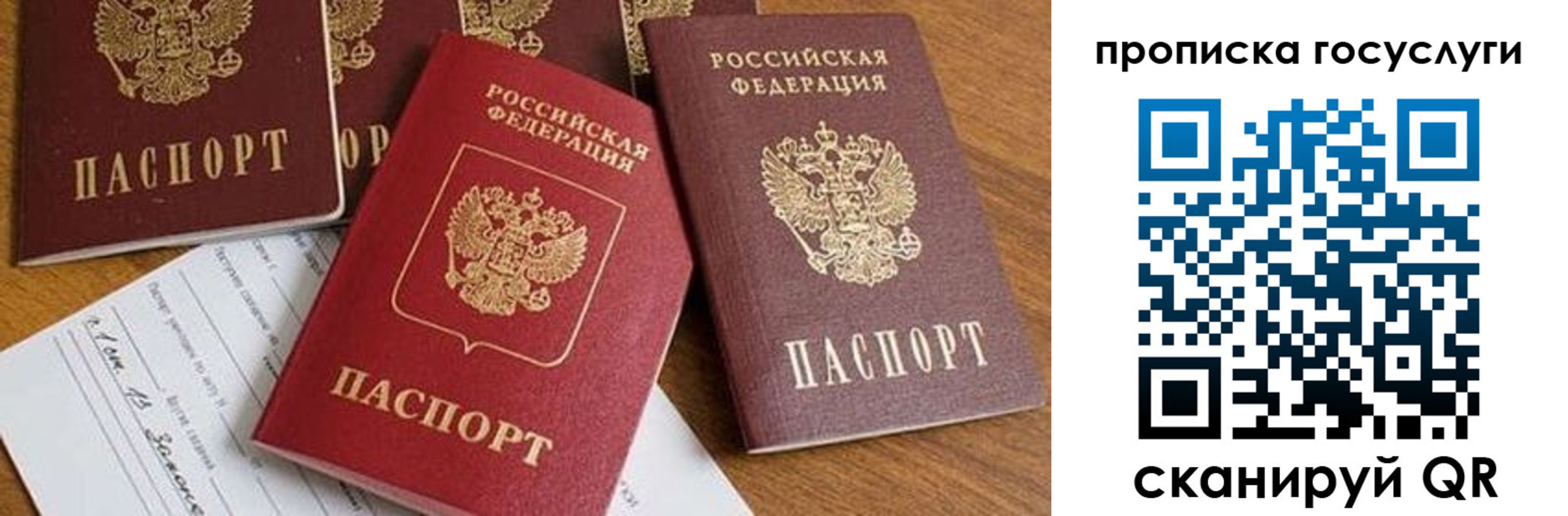 прописка ребенка в Ковдоре